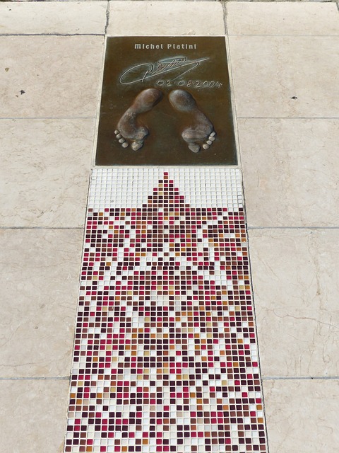 的快速发展 的快速发展