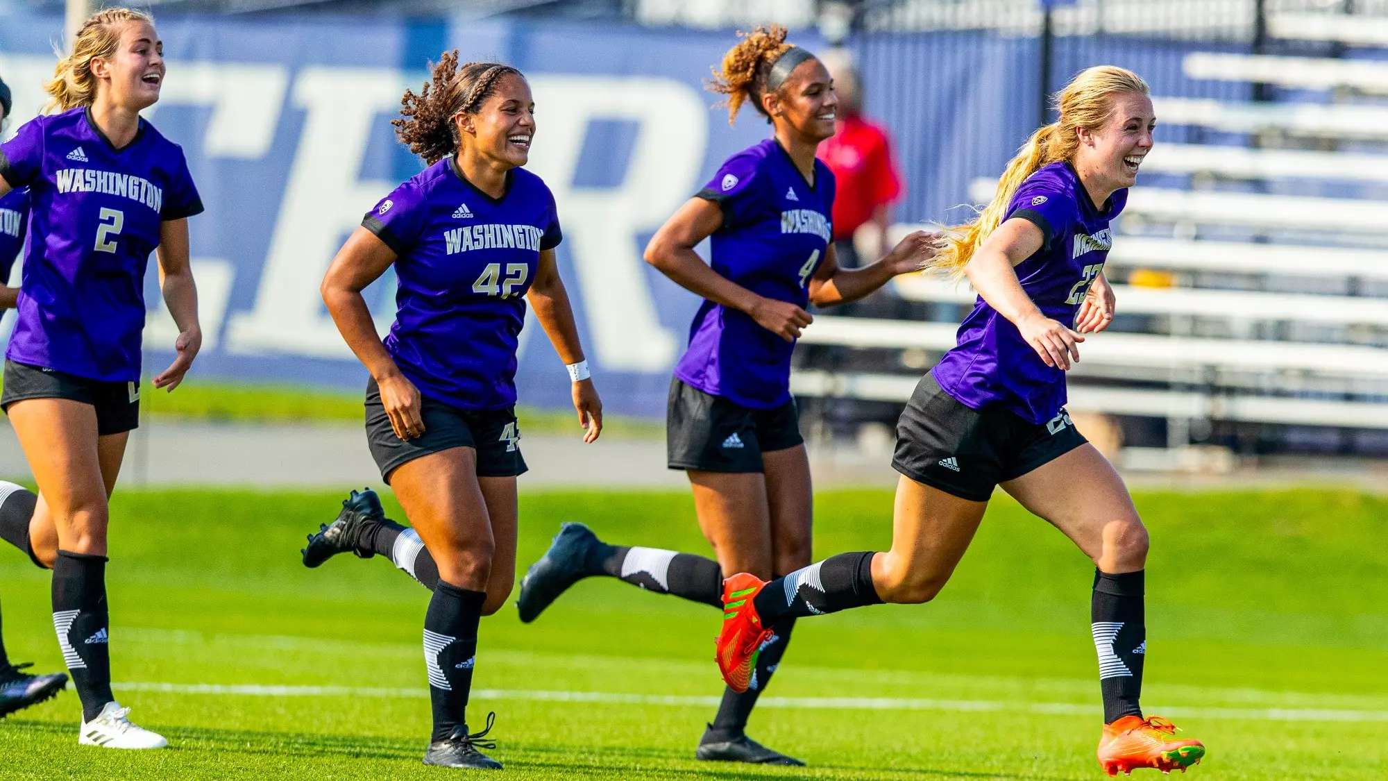 仅显示了 仅显示了